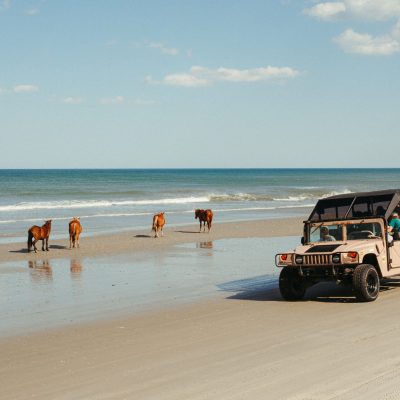 a group of people on a beach