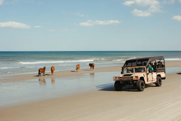 a group of people on a beach