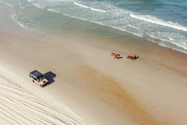 a group of people on a beach