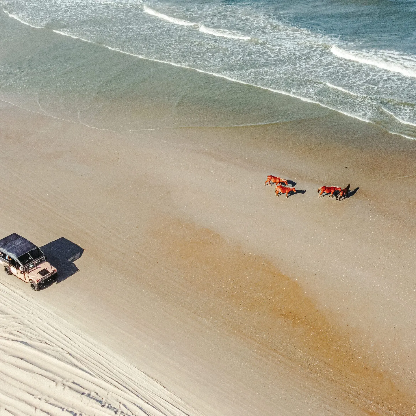 a group of people on a beach
