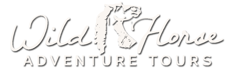 Wild Horse Adventure Tours