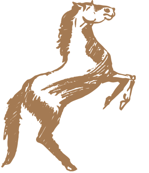 horse