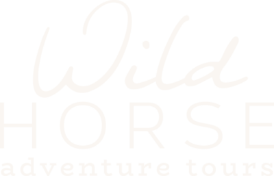Wild Horse Adventure Tours