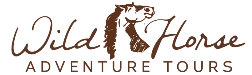 Wild Horse Adventure Tours