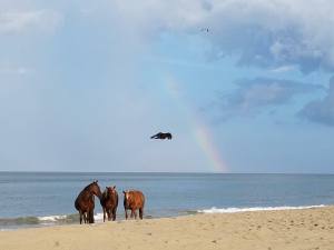 a group of people on a beach
