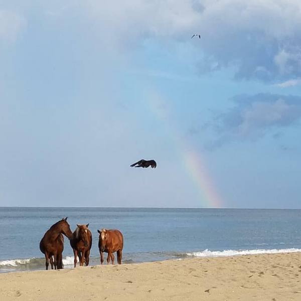 a group of people on a beach