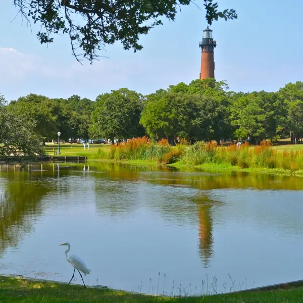 a large body of water surrounded by trees