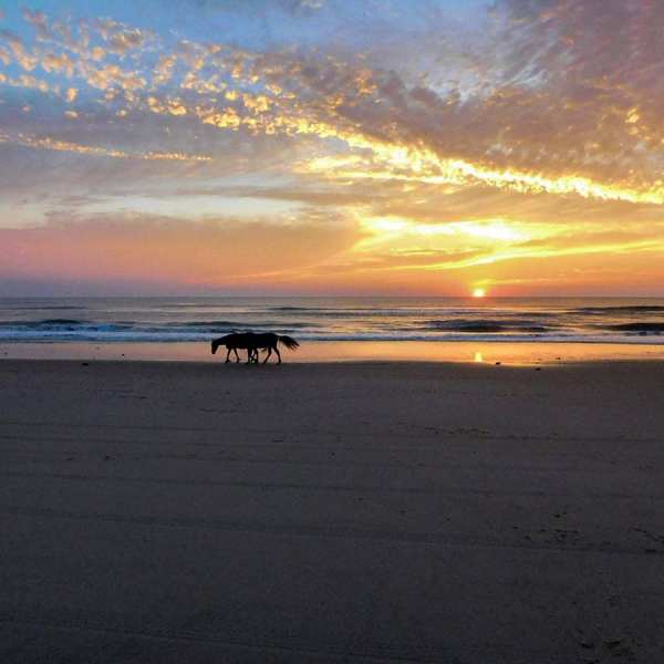 a couple of people on a beach with a sunset in the background