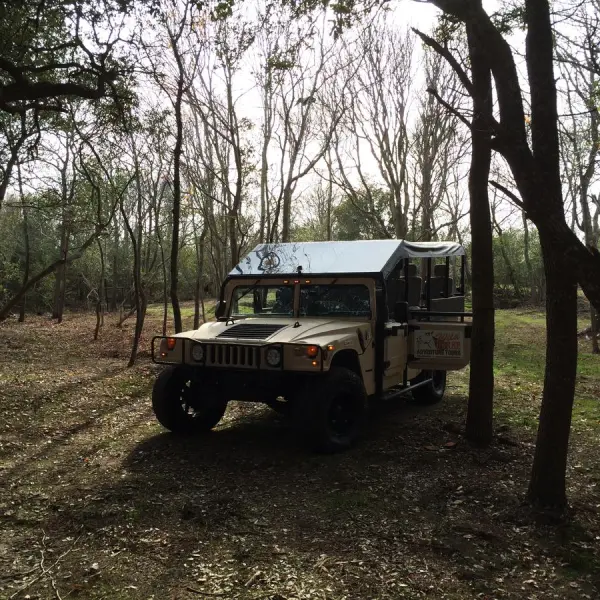 a truck is parked in a forest