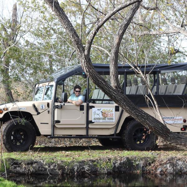 a truck is parked in the grass