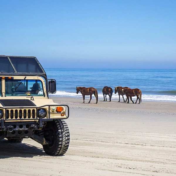 a group of people riding on the back of a truck on a beach