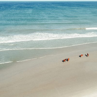 a group of people walking across a beach next to the ocean
