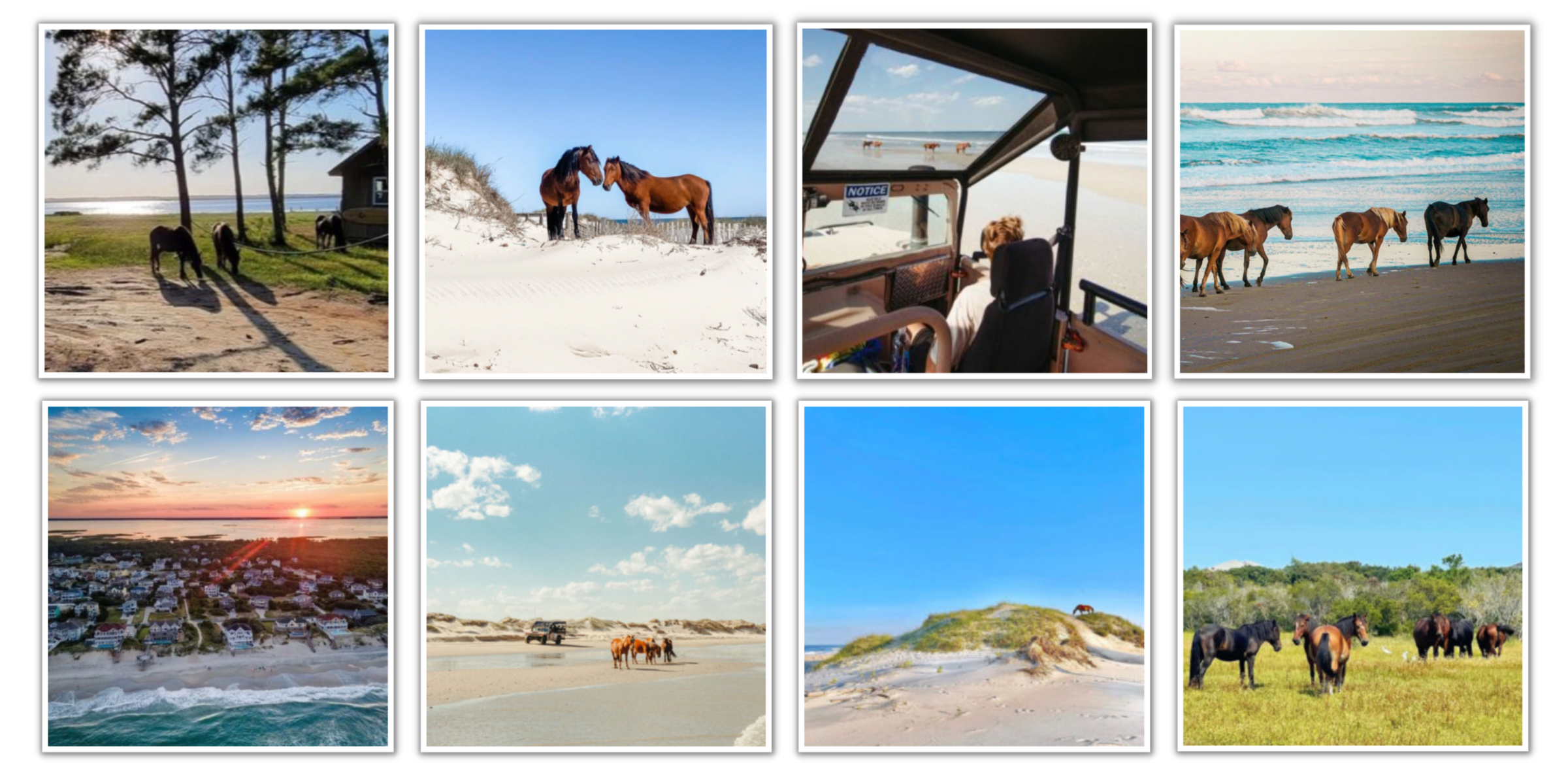 Photo Gallery Photo Gallery