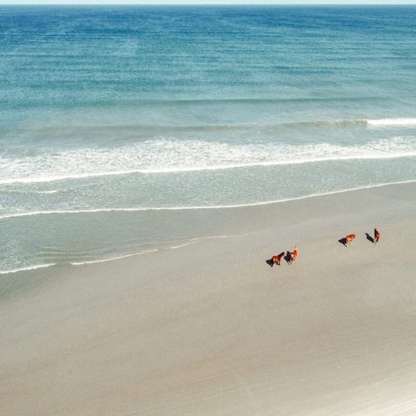 a group of people walking across a beach next to the ocean