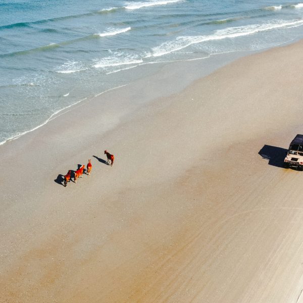 a group of people on a beach