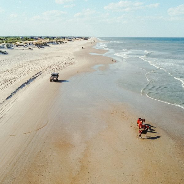 a group of people riding on top of a sandy beach