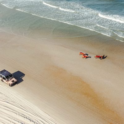 a group of people on a beach